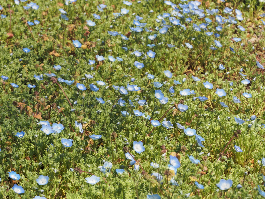 P3230002