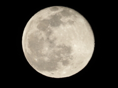 満月