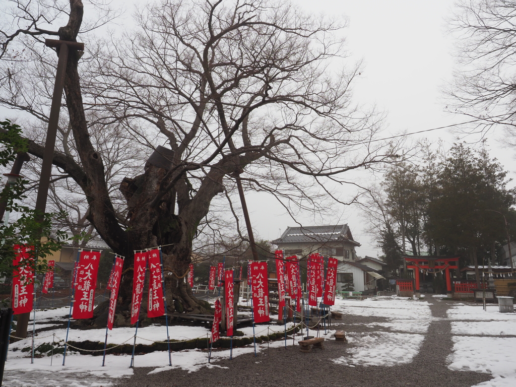 今宮神社はこんな感じ