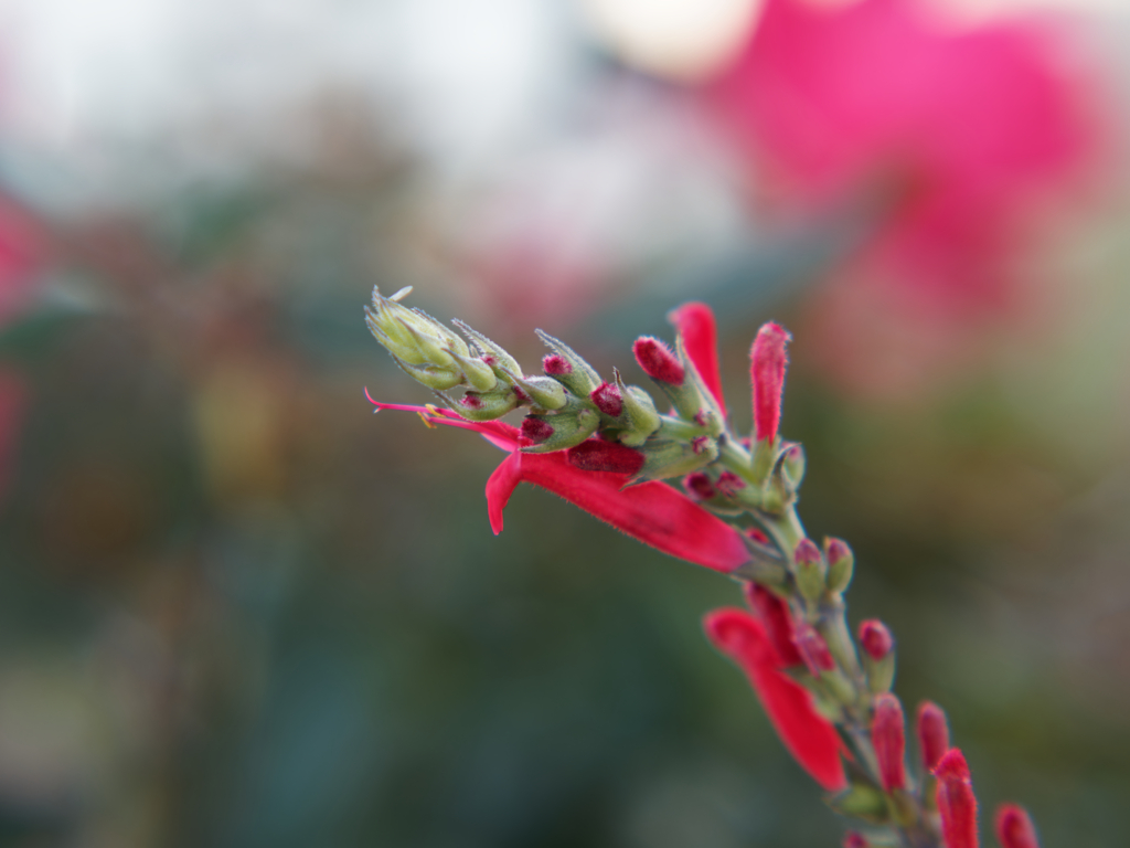 山下公園その２０