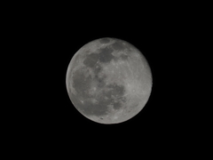 ２月の満月その４
