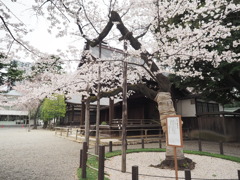 千鳥ヶ淵周辺散策その１７