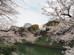 千鳥ヶ淵周辺散策その１５