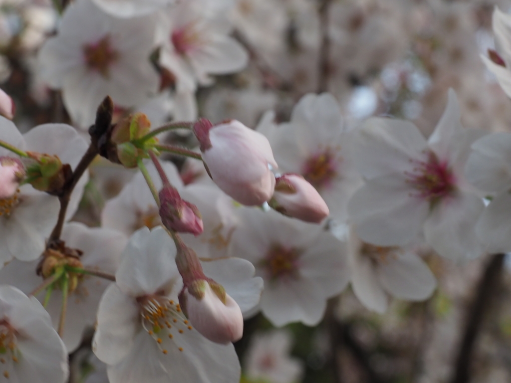 B9560CB2-4F72-4B9A-9B96-4E104453C9F2