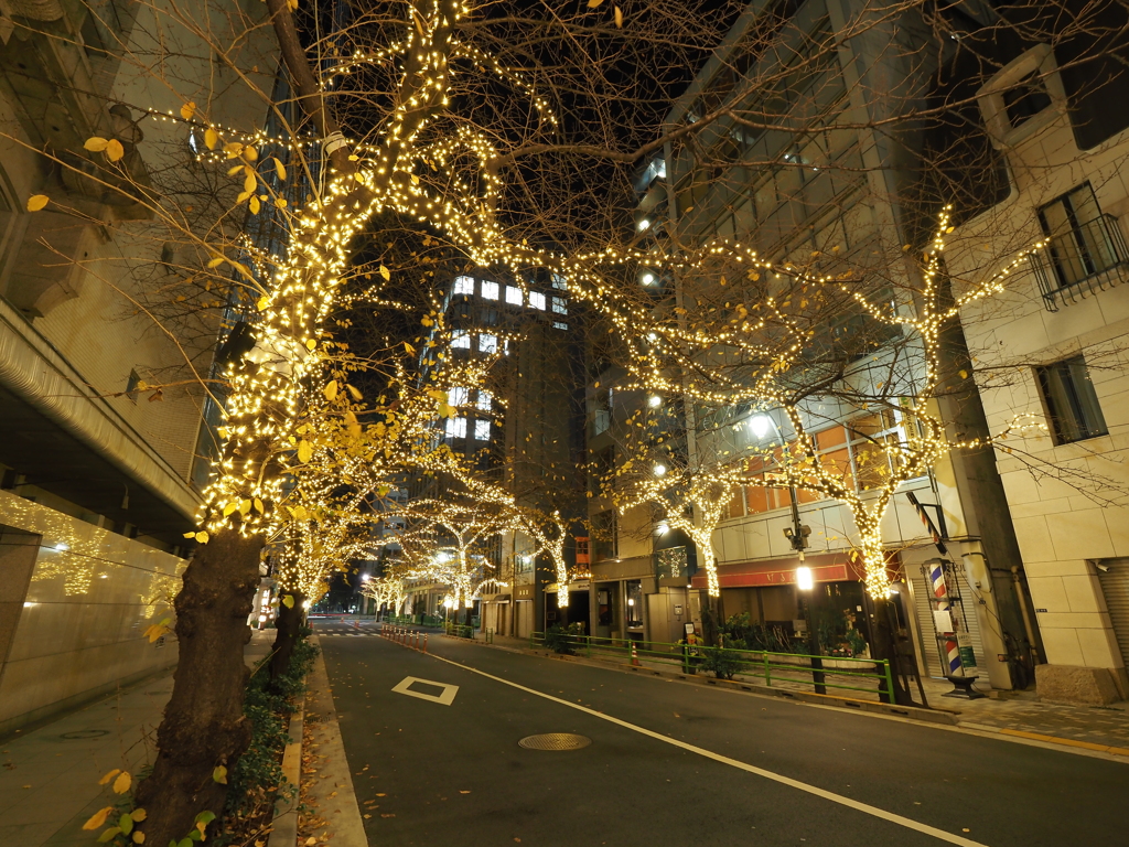 銀座高島屋周辺イルミネーションその９