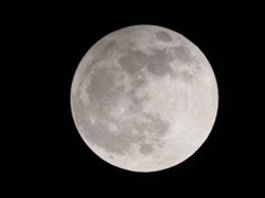 満月その３