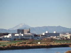 多摩川からの眺め