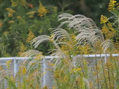テレコン使わないなら