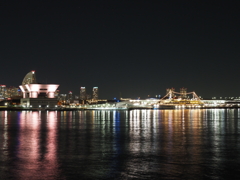 山下公園夜景その９