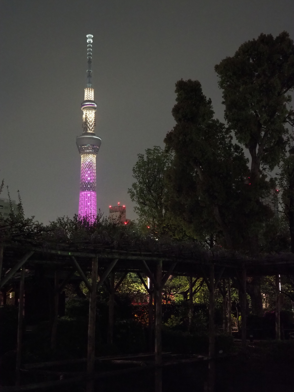 晴れてれば良かったのに