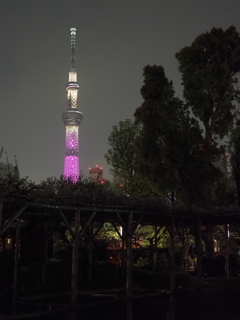 晴れてれば良かったのに