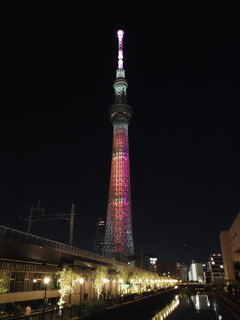 スカイツリースペシャルイルミその５