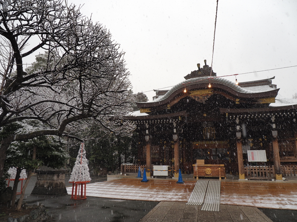 雪の東京その９