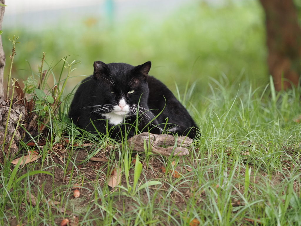 お休み中失礼しました（＾＾；