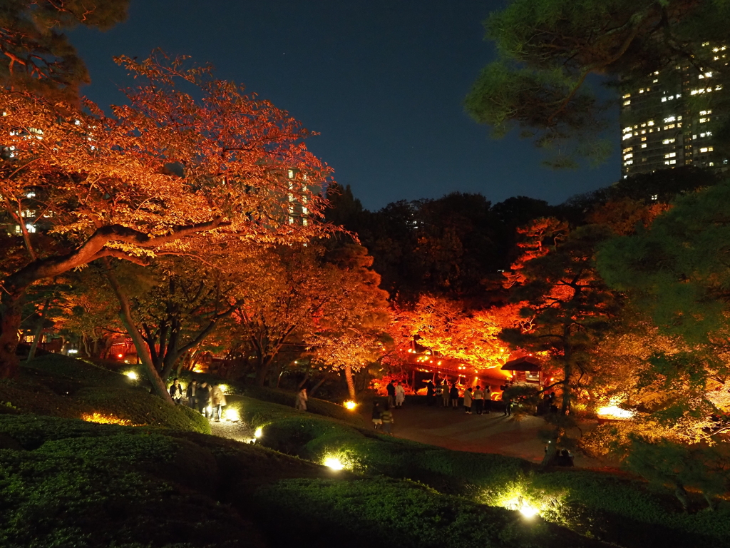 八芳園イルミネーションその４