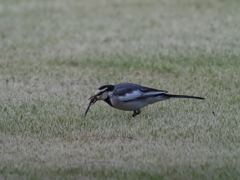 お食事中？その1