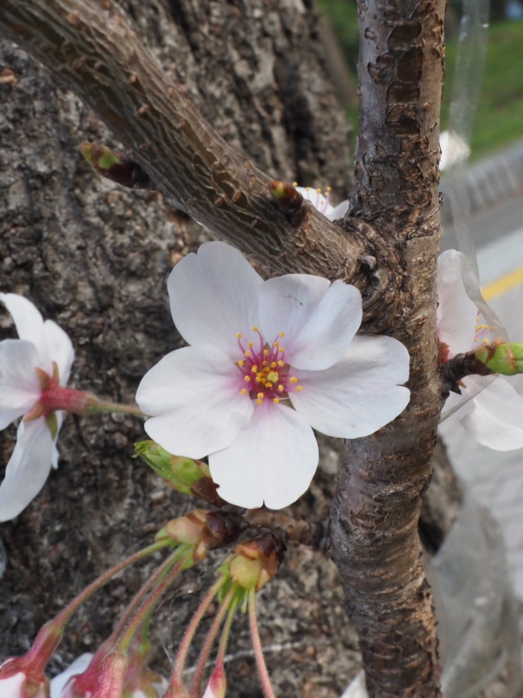 B32F8129-E710-4216-9A33-F9FD34409FDB