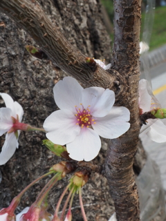 B32F8129-E710-4216-9A33-F9FD34409FDB