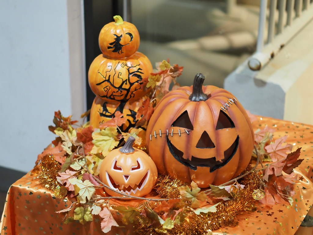 試し撮りその４