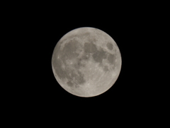 満月