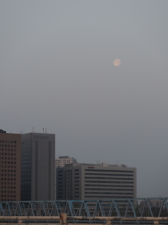 六郷橋から見た朝の月