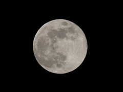 満月その２