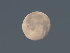 朝のお月様