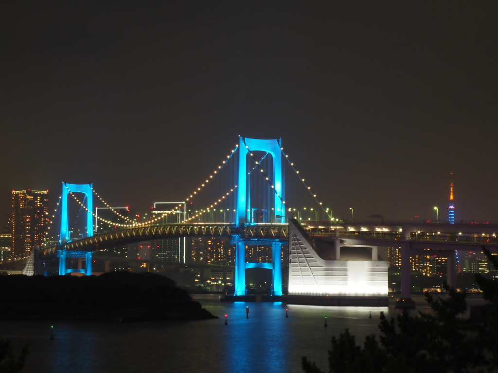 レインボーブリッジ夜景その３