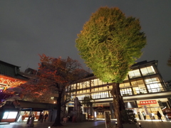 神田明神ライトアップその２