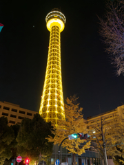 横浜夜景その9