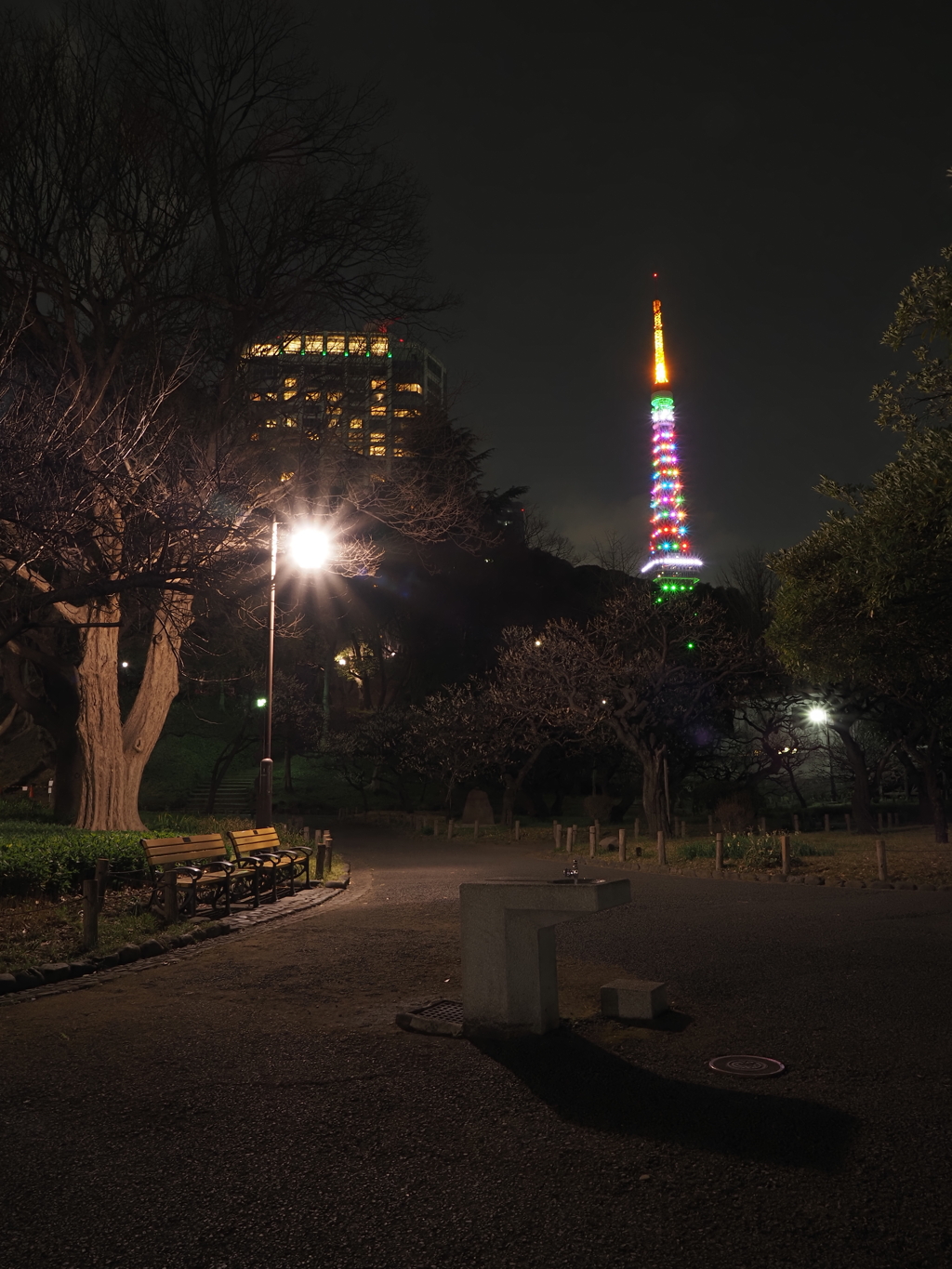 東京マラソン特別ライトアップその１