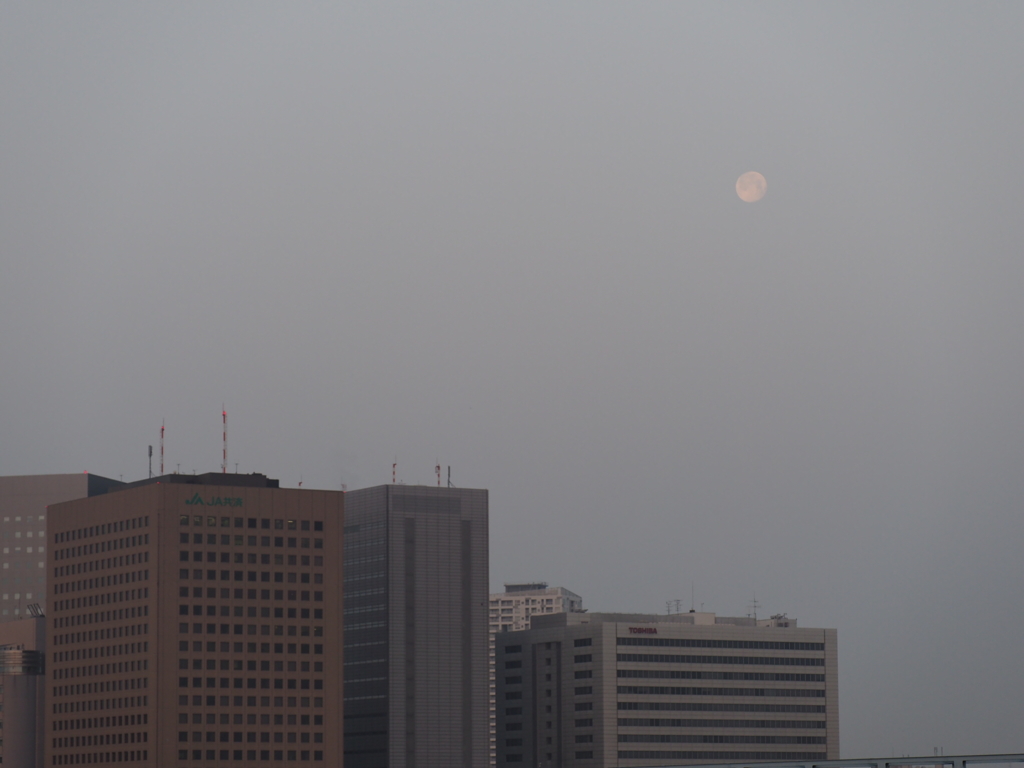 六郷橋から見た朝日1