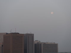 六郷橋から見た朝日1