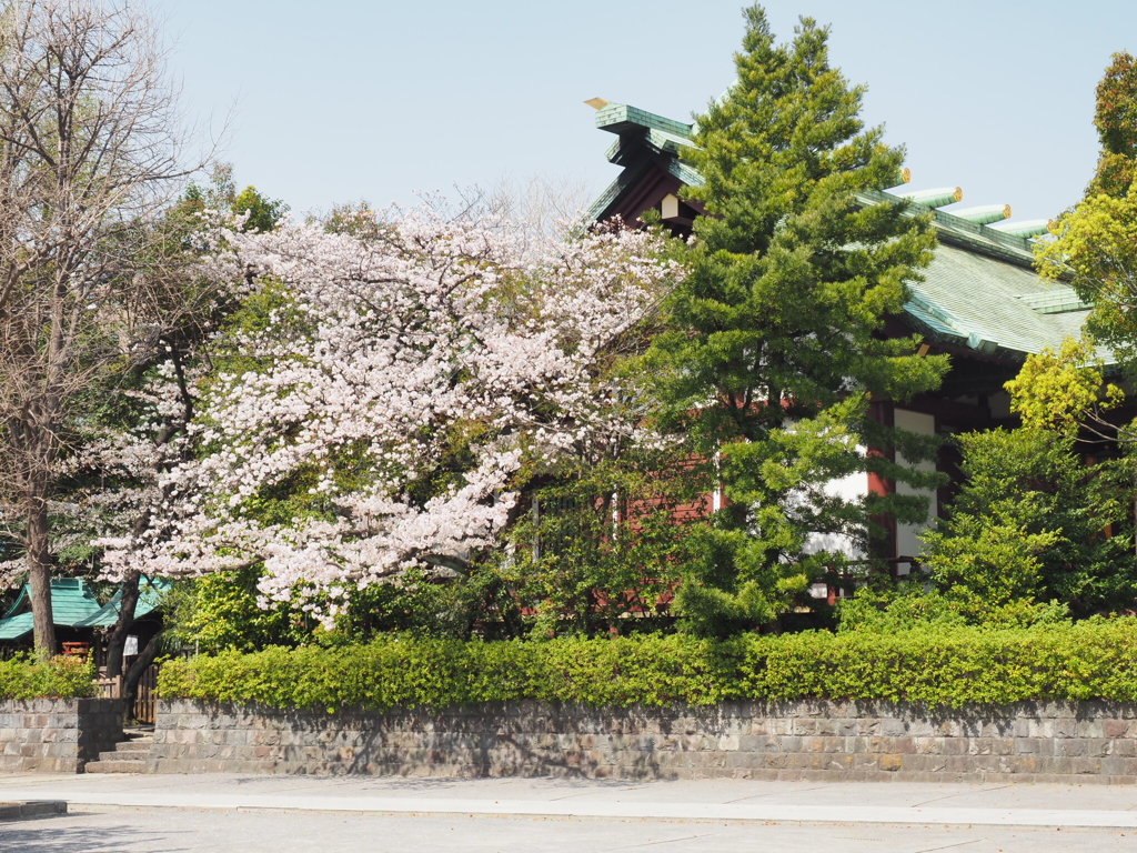 稲毛神社の風景2