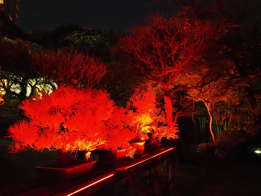 八芳園イルミネーションその６