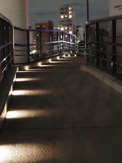 東京スカイツリー周辺その５