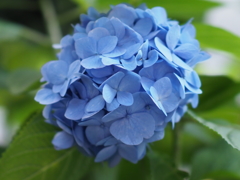 色味的にはこれくらいが好き