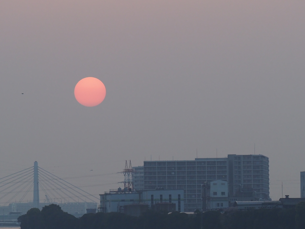 六郷橋から見た朝日4