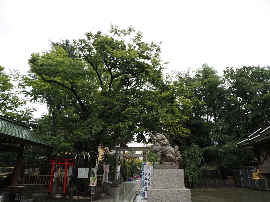 新田神社その１