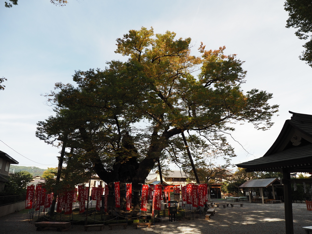 今宮神社その１