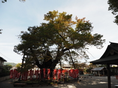 今宮神社その１