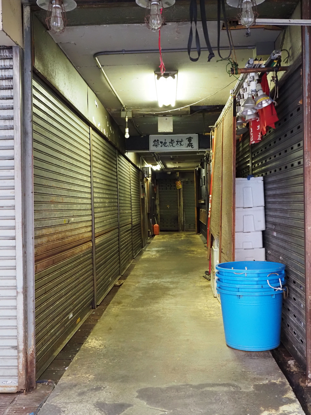 築地場外試し撮りその６