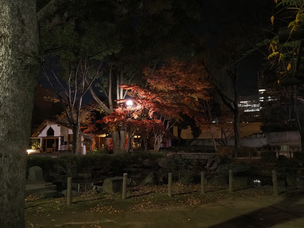 東京タワー周辺その３