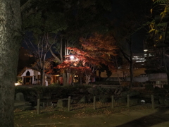 東京タワー周辺その３