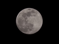 満月の１日前その１