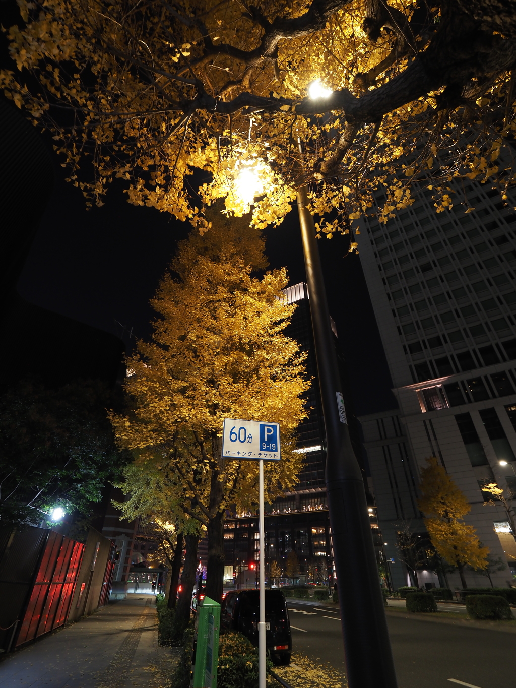 東京駅イルミネーションその７
