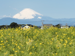 ソレイユの丘その３