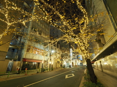 銀座高島屋周辺イルミネーションその１