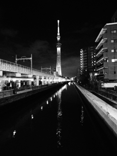 スカイツリー色々その８