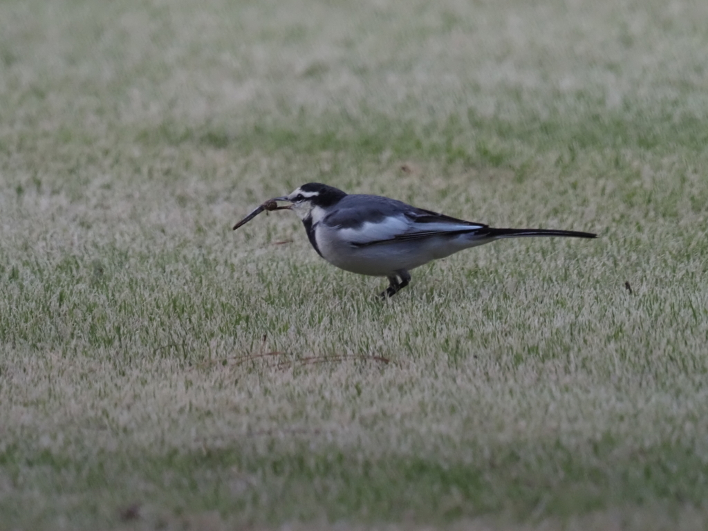 お食事中？その2